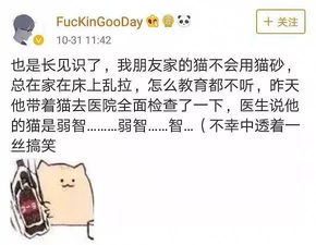 智障试卷 智障试卷