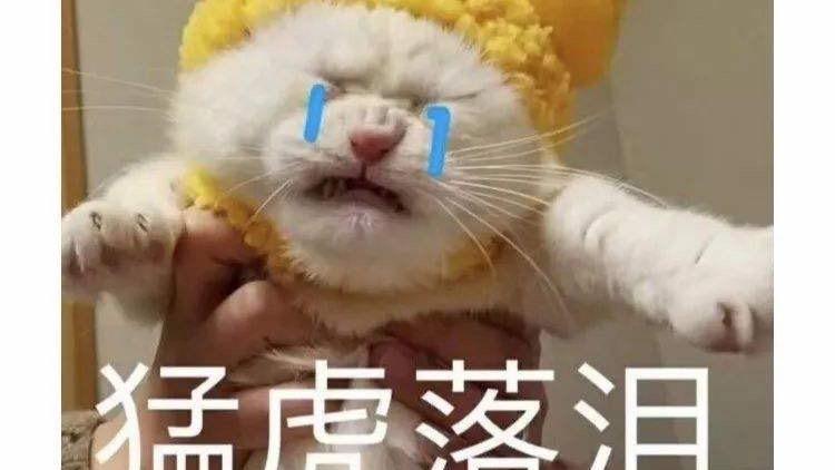 广西鑫垚营销策划有限公司 广西鑫垚营销策划有限公司